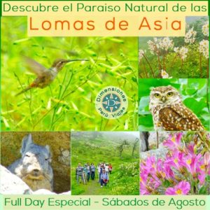 Full Day Especial Sábados 16/23/30 de Agosto /// Descubre el Maravilloso Paraíso Natural de las LOMAS de ASIA...
